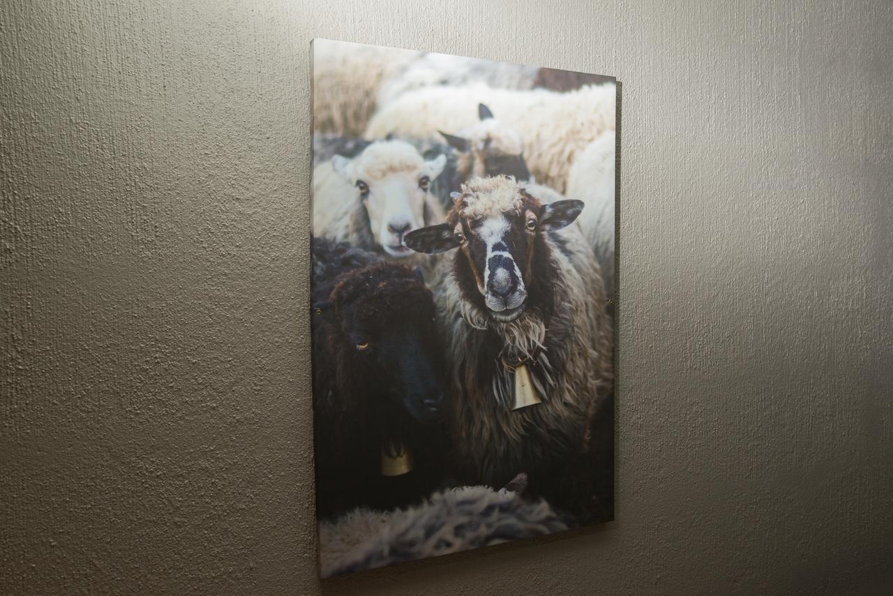 Oppdal Gjestetun Hotell Exteriér fotografie